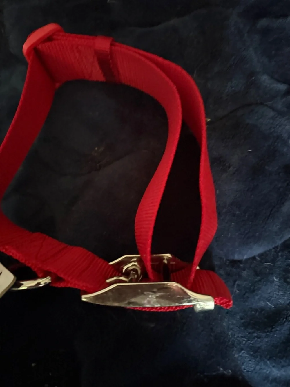 Red Nylon Dog Collar with Silver Hardware- fits Lab up to Great Dane